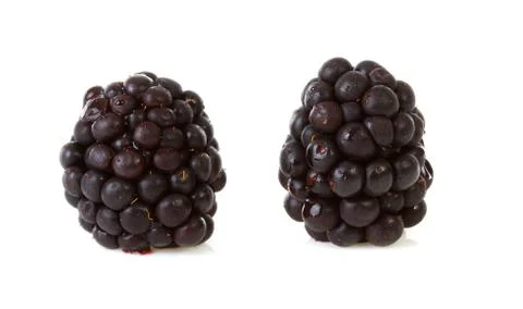 Macro of two blackberries Stock Photos
