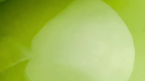 Macro of uncooked natural oat flakes pouring into green bowl, 4K 30p Stock Footage 62224146