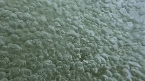Macro underwater shot of bubbles forming and rising in aerated water captur.. Stock Footage 334036962