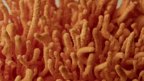 Macro Upward Glide Through Dense Orange Cordyceps Filaments Vídeos de archivo 329787808