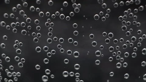 Macro video of air bubbles in water on a black background. Stock Footage 297083292