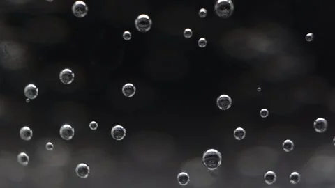 Macro video of air bubbles in water on a black background. Stock Footage 297083439