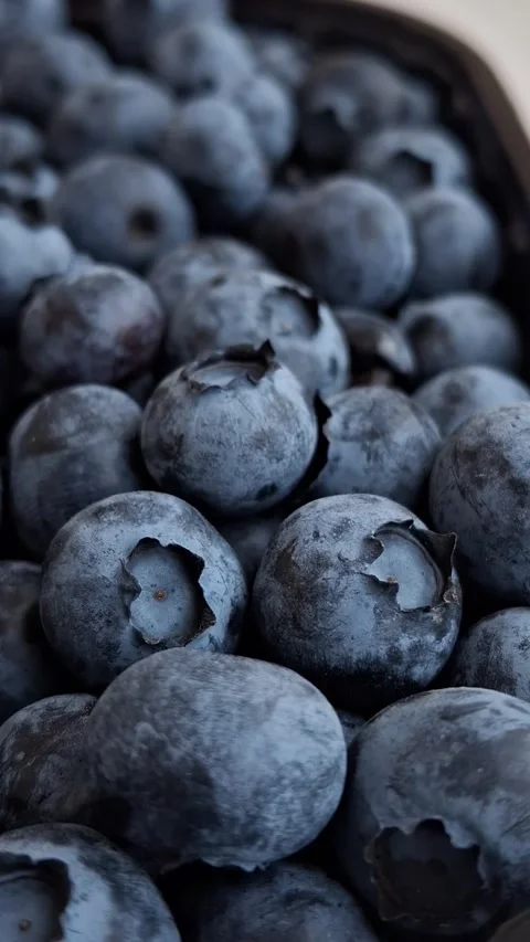Macro video of blueberries Stock Footage 341676628