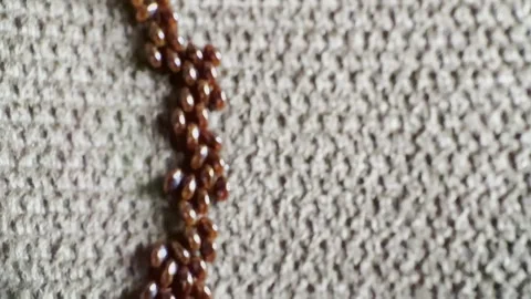 Macro video of clustered red insect eggs on textured surface Stock Footage 334575086