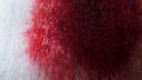 Macro video. a drop of blood falls on a textile napkin Stock Footage