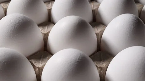 Macro video of endless white eggs: textured shells in a cardboard carton. Vídeo Stock 318850553