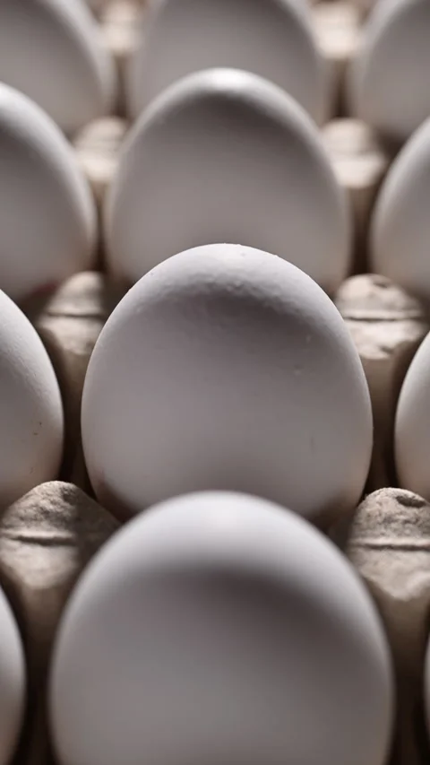 Macro video of endless white eggs: textured shells in a cardboard carton. Vídeos de archivo 319493697