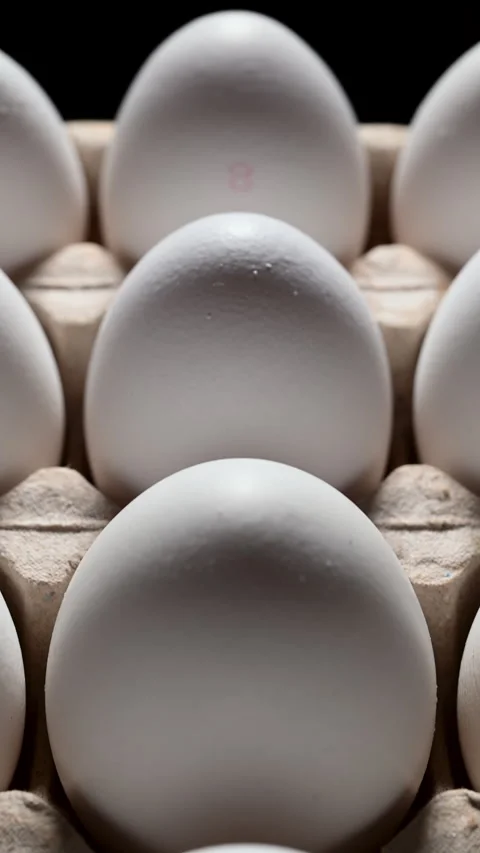 Macro video of endless white eggs: textured shells in a cardboard carton. Vídeo Stock 319493868