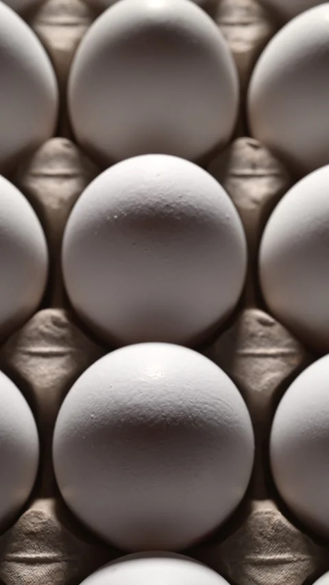 Macro video of endless white eggs: textured shells in a cardboard carton. 動画素材 319495240