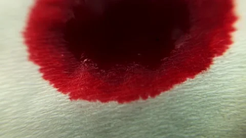 Macro video. extremely closeup. a drop of red blood falls on a paper napkin Video stock 163807350