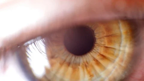 Macro video of the eye pupil Stock-Footage 73806379
