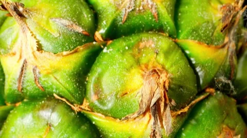Macro video featuring a whole pineapple, shot with a probe lens. Stock Footage 246594453