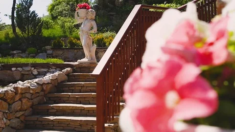 Macro video filming motion shooting flowers on the background of a ladder Stock Footage 90828271