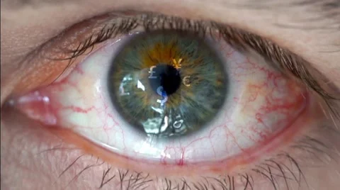 Macro video of human eye with currency sign Stock-Footage 60813857