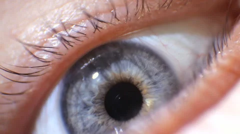 Macro video of the movement of the pupil Stock-Footage 64127701