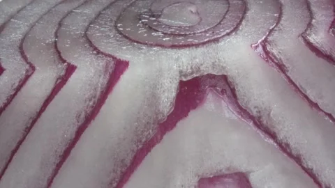 Macro Video Of An Onion In Plain White Light Stock Footage 141472200