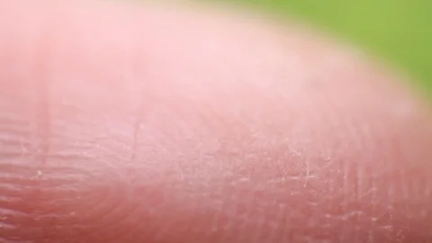 Macro video of a pattern of lines on the finger Stock-Footage 73830892