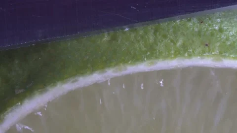 Macro Video Of Person Cutting A Lime In A Kitchen In Plain White Light Stock Footage 141471832