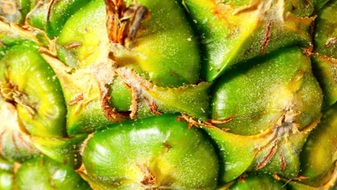 Macro video with a probe lens, explore the intricate world of pineapple skin. Stock Footage 246594526