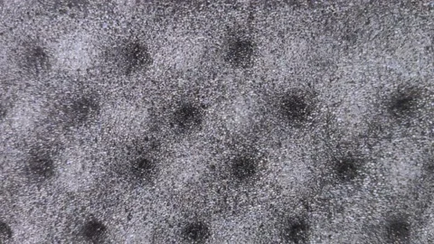 Macro video of pyramidal black foam rubber used in recording studios. Video back Stock Footage 142493580