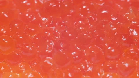 Macro video of red salmon roe spinning in a circle. Close-up of red caviar. Stock Footage 239091982