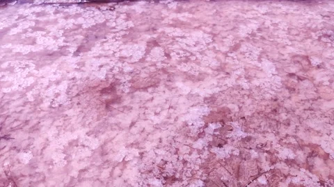 Macro video of salt on the surface of the water in Lemurian Lake or the Dead Sea Video stock 132707482