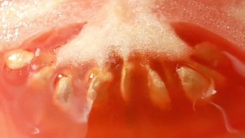 Macro video showcases a half tomato Stock Footage 244062841