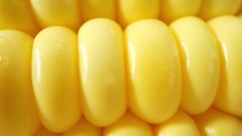 Macro video of sweetcorn showcases its golden kernels in intricate detail Stock Footage 244800922
