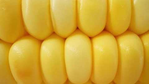 Macro video of sweetcorn showcases its golden kernels in intricate detail Stock Footage 244801041