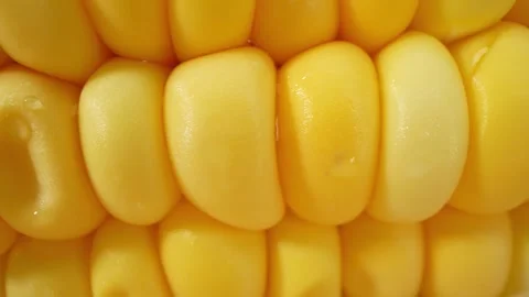 Macro video of sweetcorn showcases its golden kernels in intricate detail Stock Footage 244801045