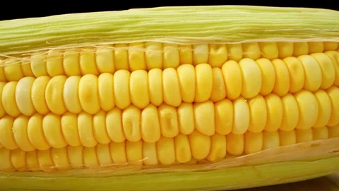 Macro video of sweetcorn showcases its golden kernels in intricate detail Stock Footage 244801047