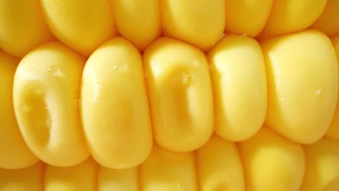 Macro video of sweetcorn showcases its golden kernels in intricate detail Stock Footage 244801064