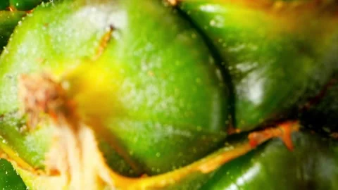 Macro video of a whole pineapple, captured with a probe lens. Stock Footage 246594492