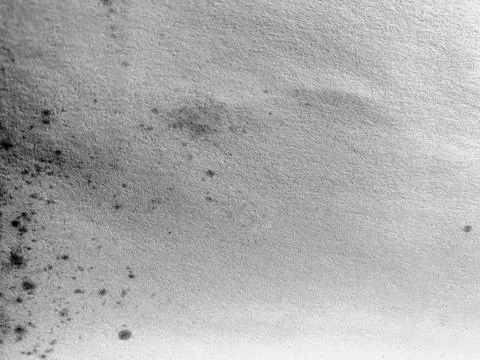 Macro View of Aged Paper Surface Texture with Mold Spots in Black and White Stock Photos