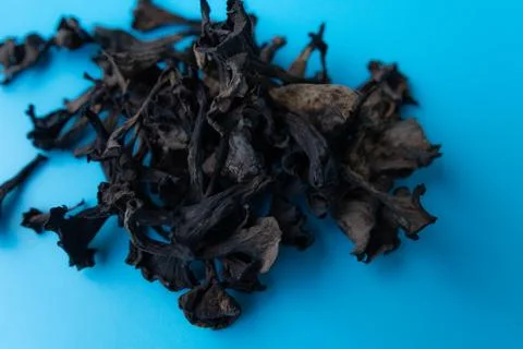 Macro view of assorted dried dark mushrooms scattered. Stock Photos
