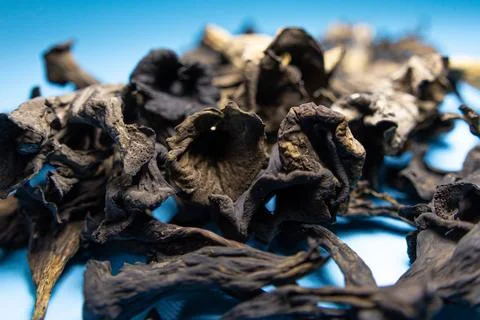 Macro view of assorted dried dark mushrooms scattered. Foto stock