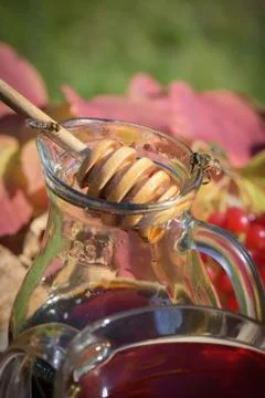 Macro view on bees and insects with buckwheat honey in glass cup Stock Photos