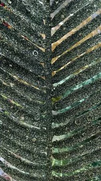Macro view of a black glitter decorative leaf. Stylish dark abstract backgr.. Foto stock