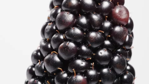 A macro view of a blackberry rotating on a white background, with its tiny hairs 스톡 동영상 248369698
