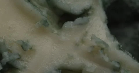 Macro view of blue cheese. Stock Footage 261806656