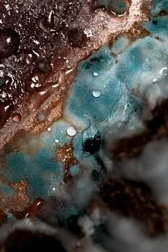 Macro View Of Blue Mold Growing On Organic Matter Surface With Brown Textures Stock Photos