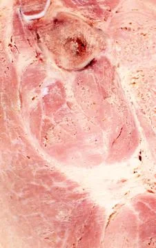 A Macro View of a Bone in Ham Stock Photos