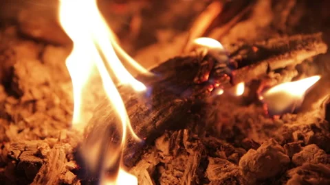 Macro view of a bonfire burning in slow motion. Stock Footage 323289284