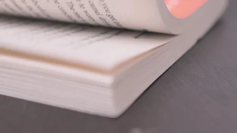 Macro View of a Book Corner. Stock Footage 342289981