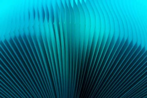 Macro view of book pages, as a background, purple background. Stock Photos