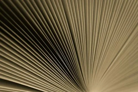 Macro view of book pages, as a background, vintage colored background. Stock Photos