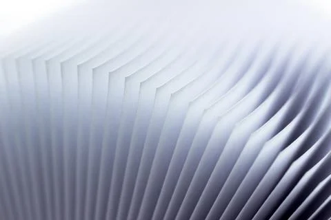 Macro view of book pages, as a background, white colored background. Stock-Fotos