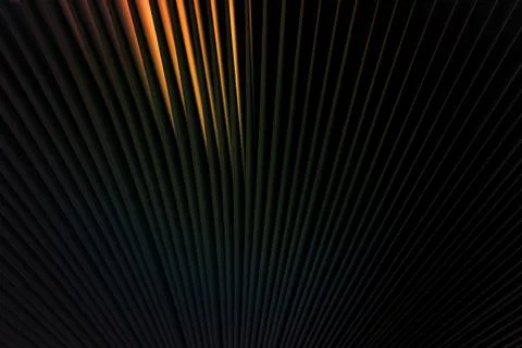 Macro view of book pages, as a background, black colored background. Stock Photos