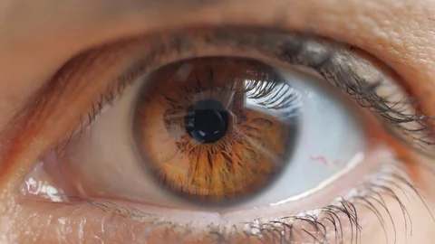 Macro view of brown eye that blink. Retina close-up 動画素材 105069599