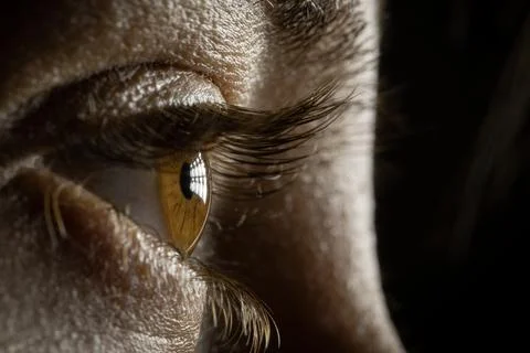 Macro view of brown human iris, focused during operation. Stock Photos